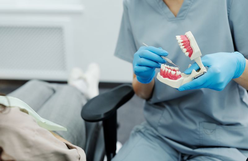 Dental professional holding a model of teeth and a dental scaler